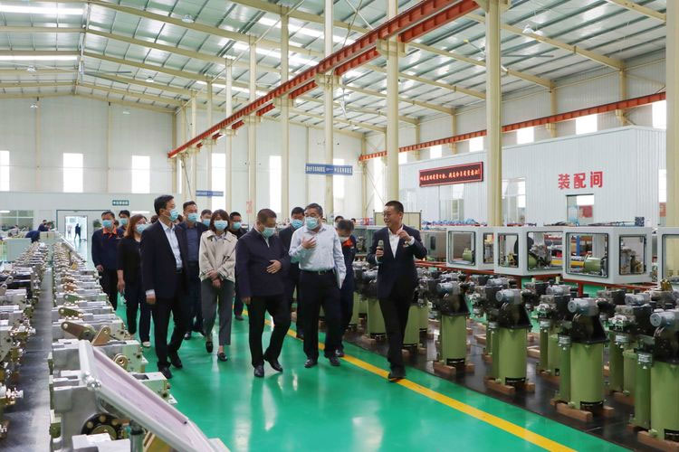 泰山區政協領導莅臨泰和電力集團視察指導工作