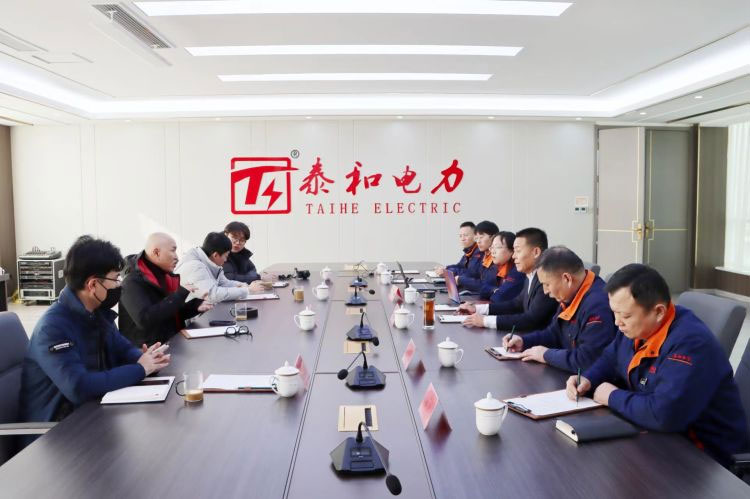 韓國帝龍電力株式會社與泰和電力項目交流會議